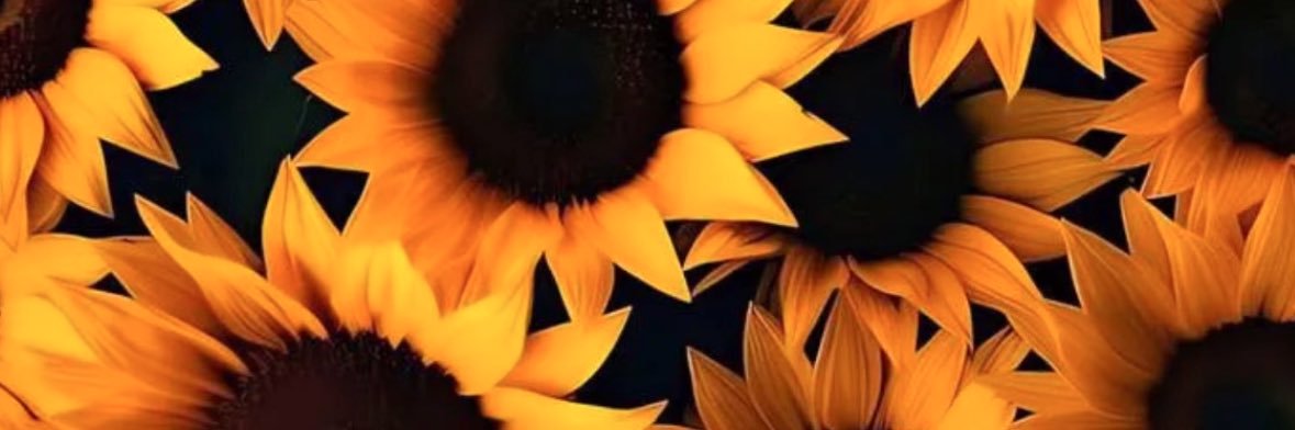 MarCelis24's profile banner image