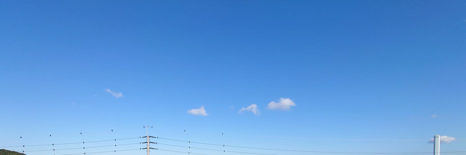 rimomon's profile banner image
