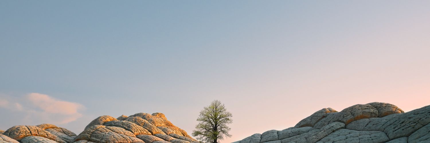 El_Barbitas's profile banner image