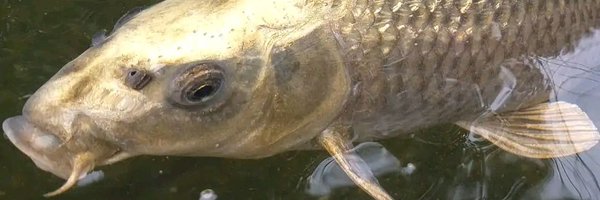 naamii73 Profile Banner