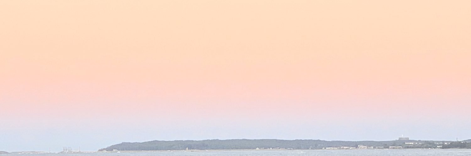 oceljayne's profile banner image