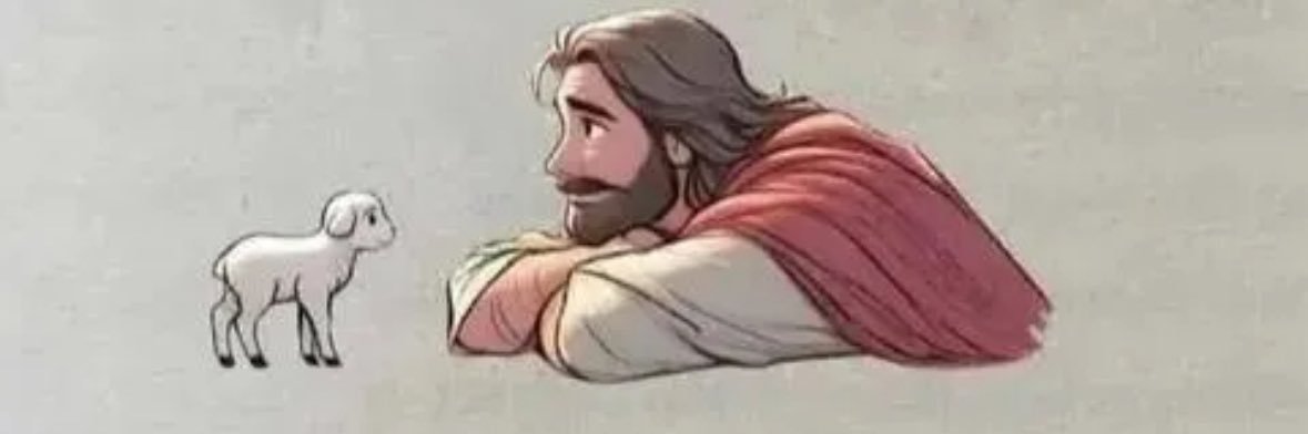 liambabington's profile banner image