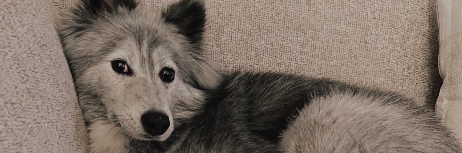 dom_danielle0's profile banner image