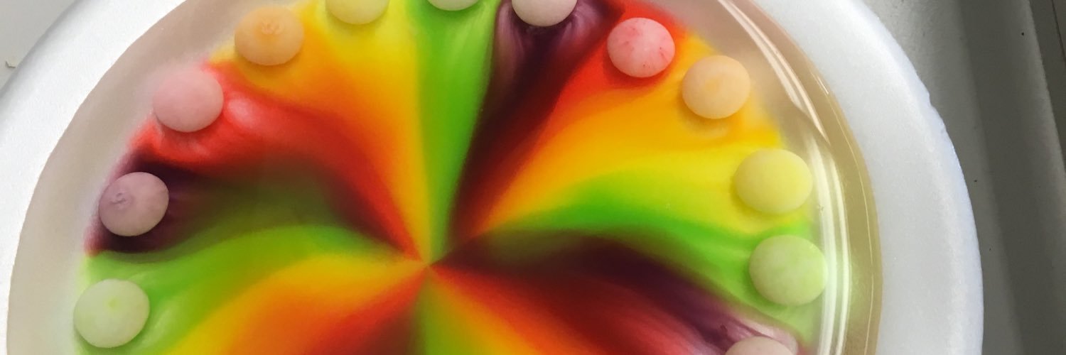 kim_bruch's profile banner image