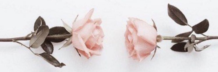 Desiree17413's profile banner image