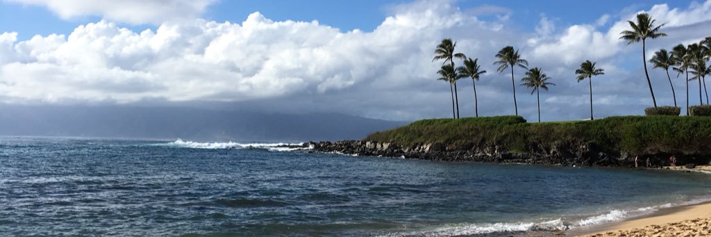 elliemurphy38's profile banner image