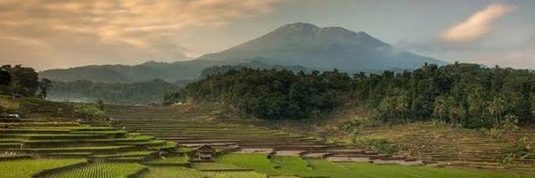 Cutes_Zee Profile Banner