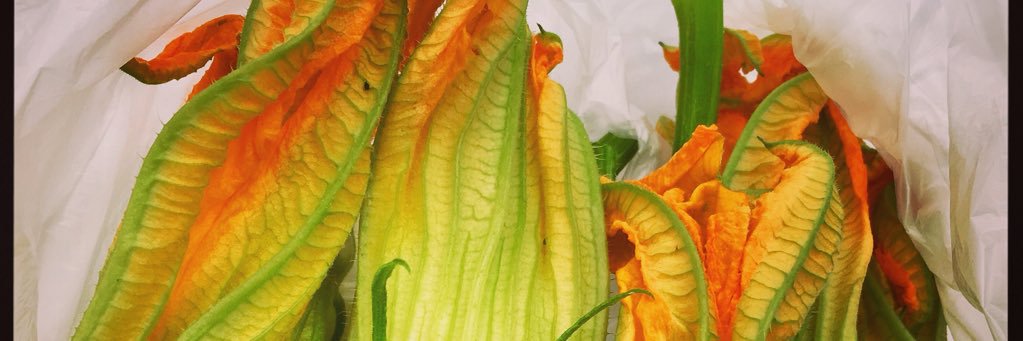 deanna_bascom's profile banner image