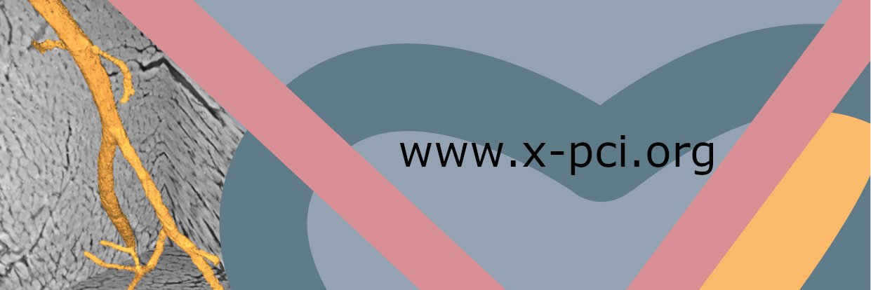 Cardiovascular Synchrotron X-PCI Workshop banner