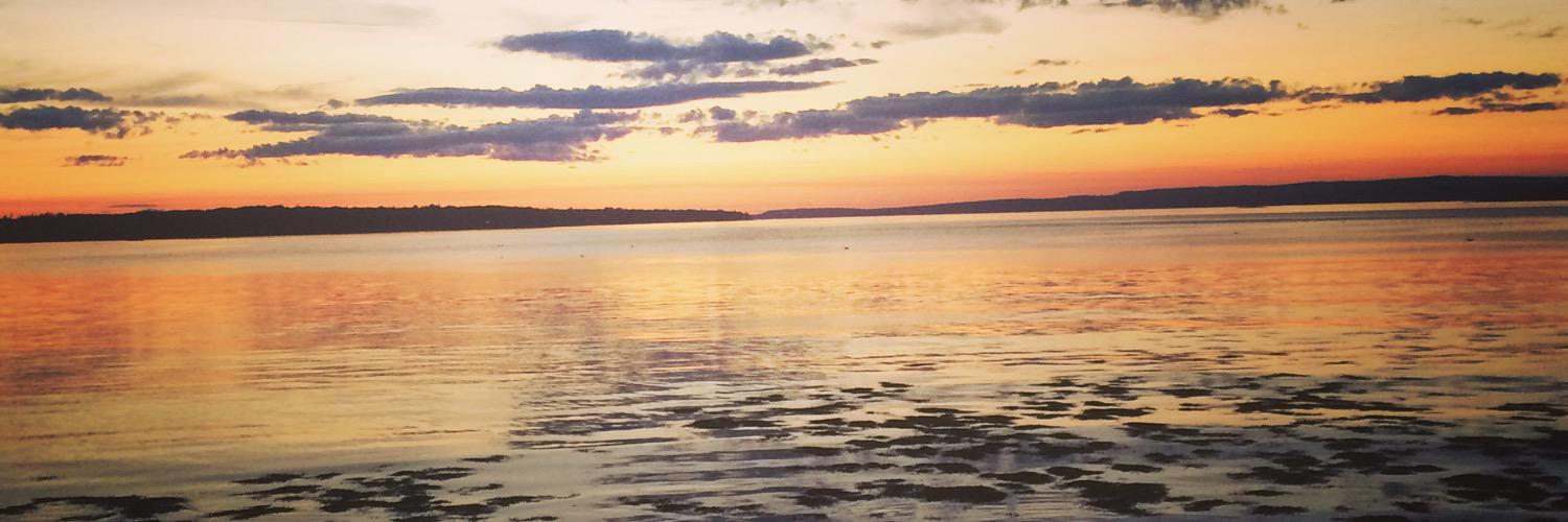 anthony_pally's profile banner image