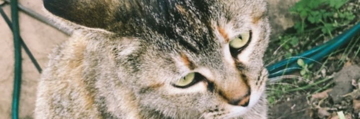 A68098965's profile banner image