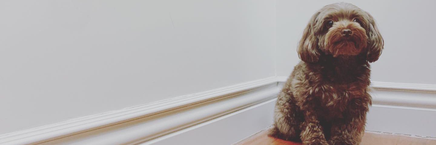 aarie_017's profile banner image