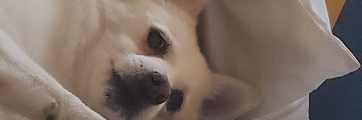 EricBertrand19's profile banner image