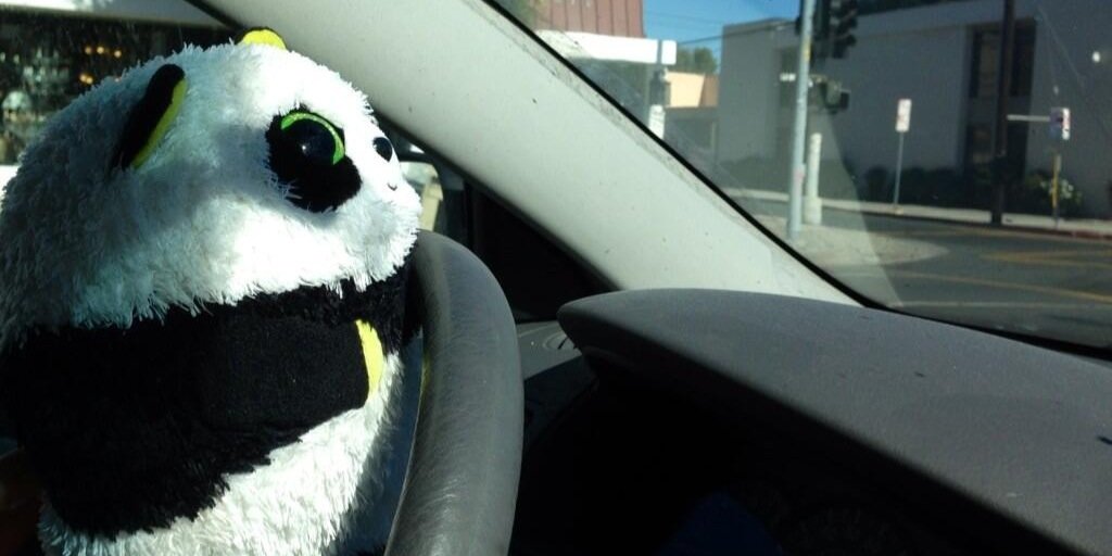 MrPandaJPanda's profile banner image