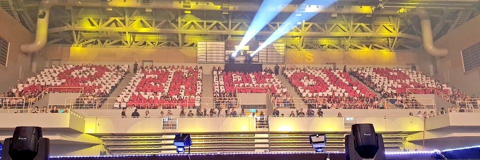 모모＊モモ banner