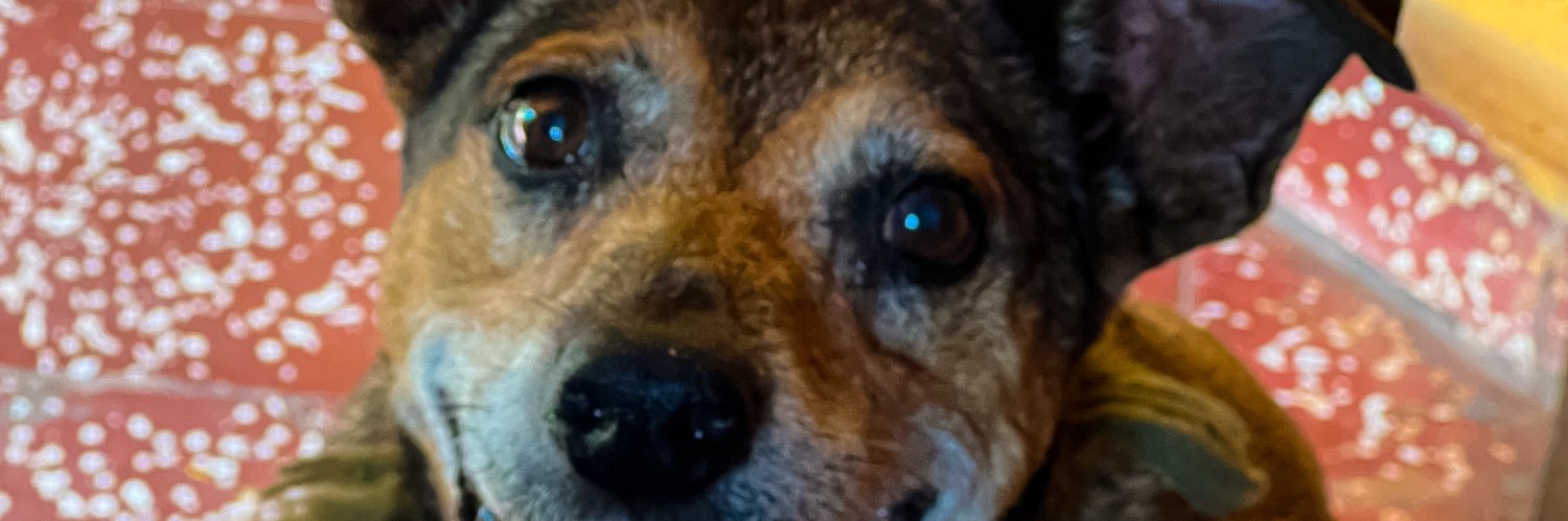 Monserratgon_'s profile banner image