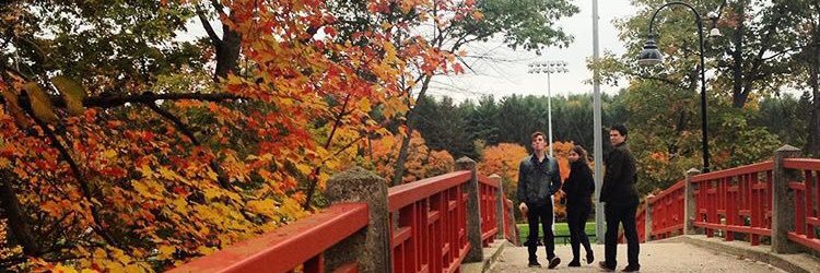 mirandaanne94's profile banner image