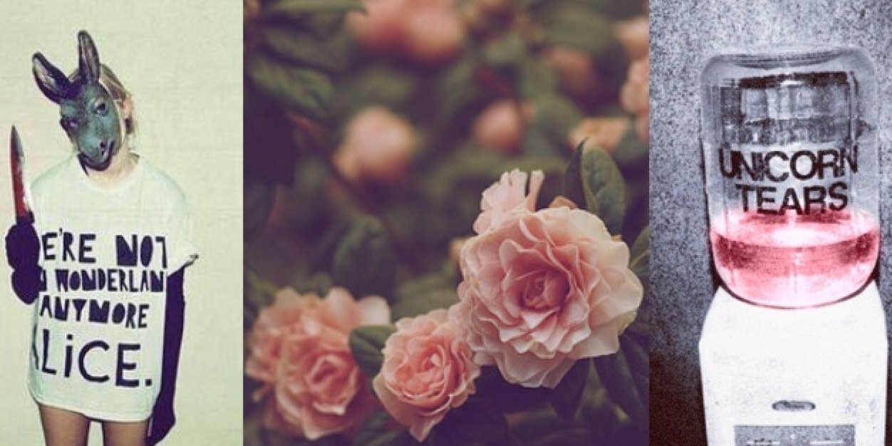 ErickaHToms's profile banner image