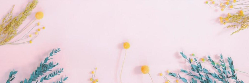 k_schlientz's profile banner image
