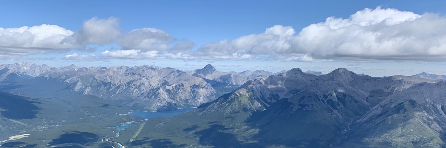 Michael Walsh banner