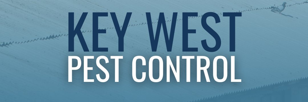 KeyWestPest's profile banner image