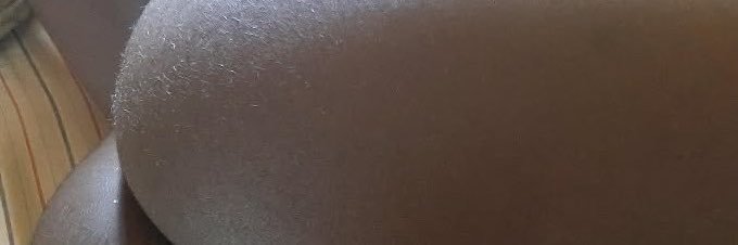apple_boott's profile banner image
