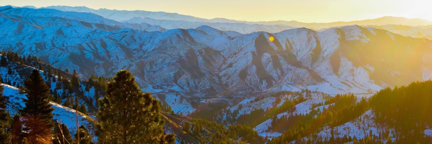 traviswaddle's profile banner image
