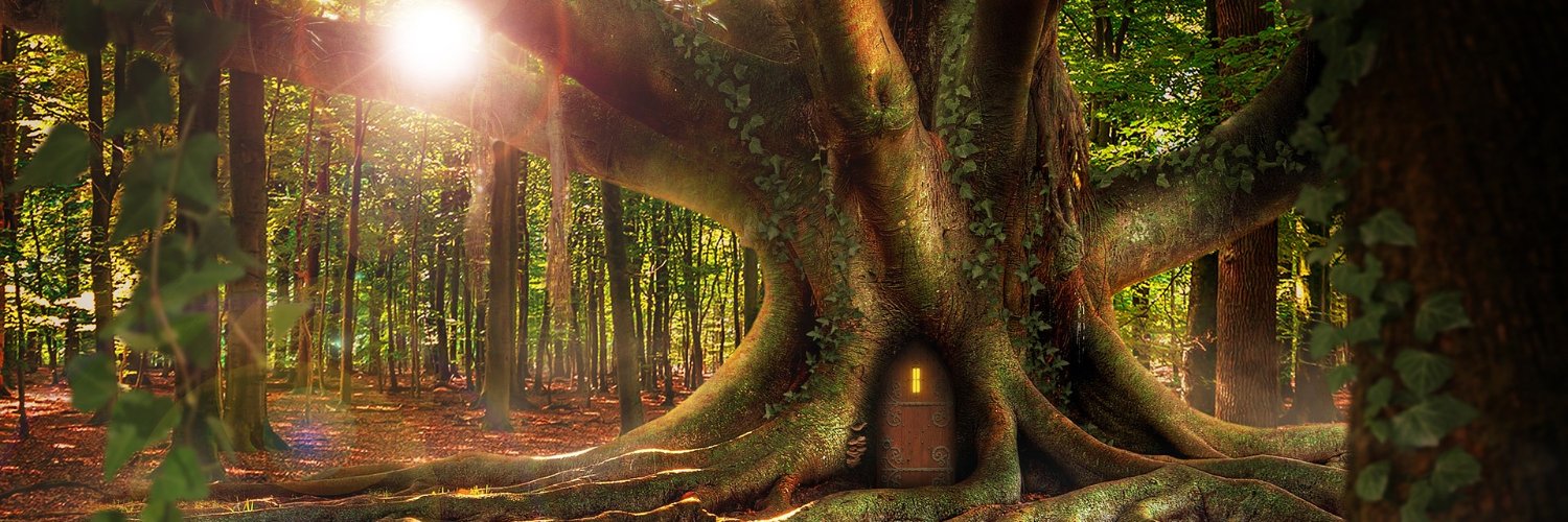 Chandra Mayer banner