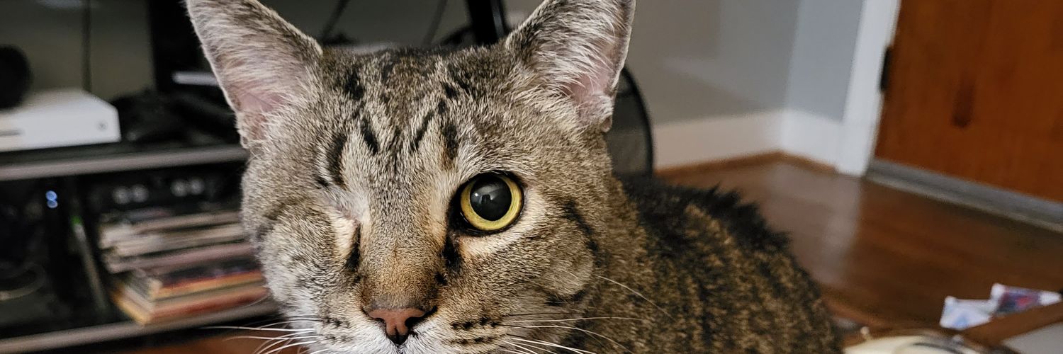 Tooober's profile banner image