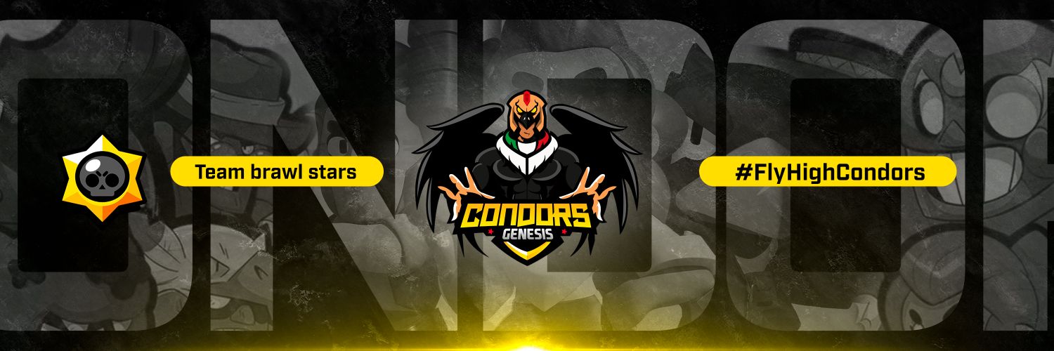 BS Team Génesis banner