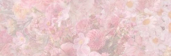 b banner