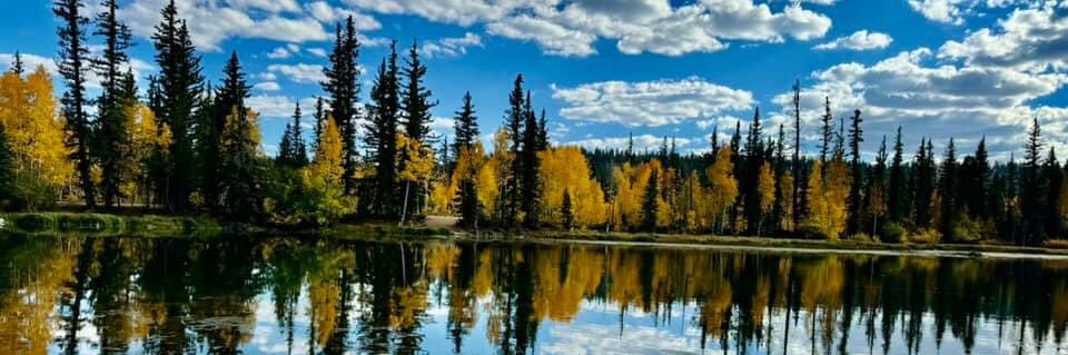 AMERICA FIRST banner