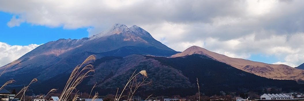 harataiko's profile banner image