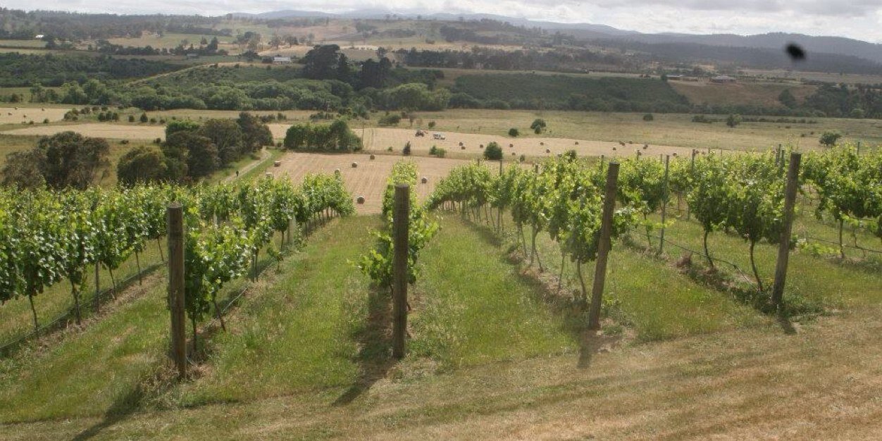 Uniquely Tasmanian banner