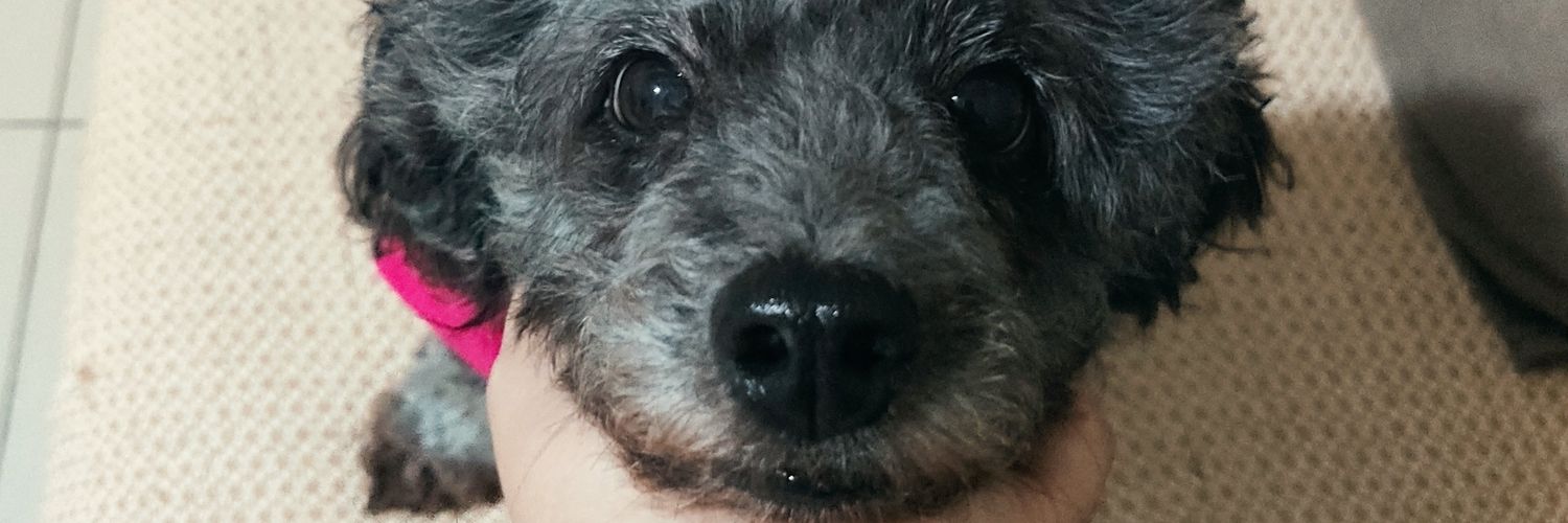 lariboobs's profile banner image