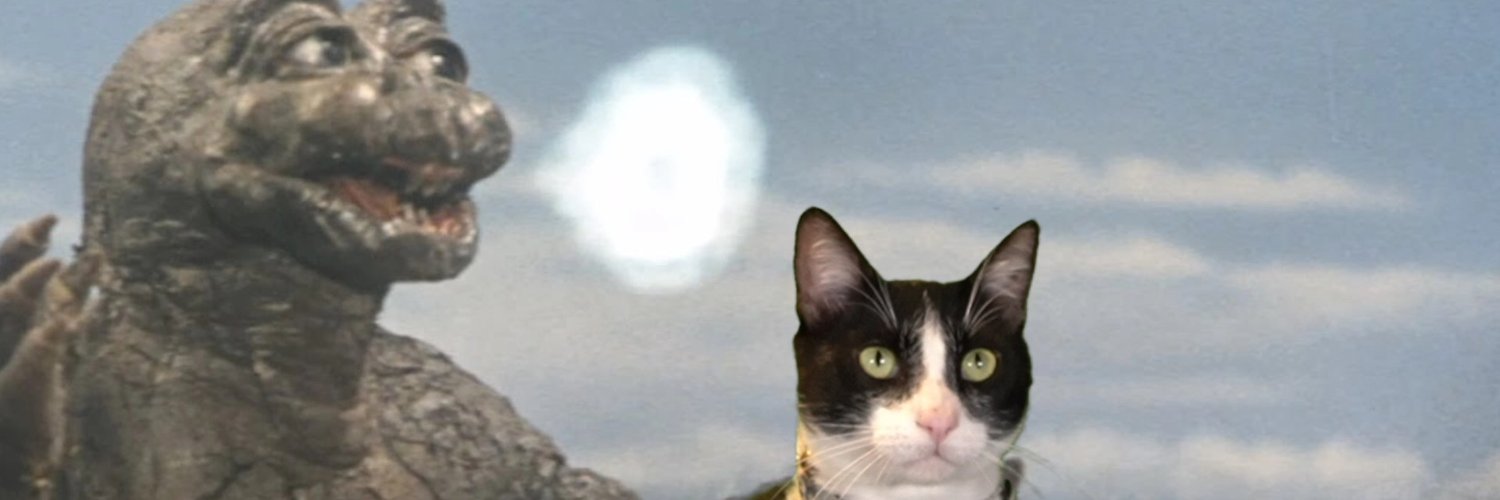 Patrick Brown banner