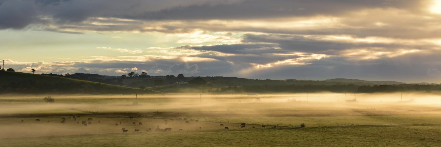 llsnsw's profile banner image