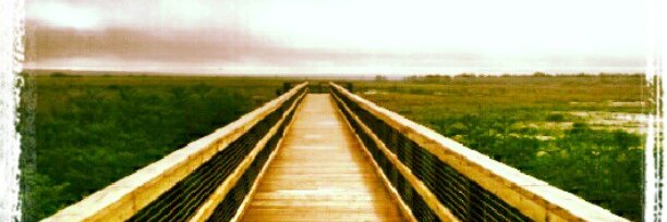 • Jaxie • banner