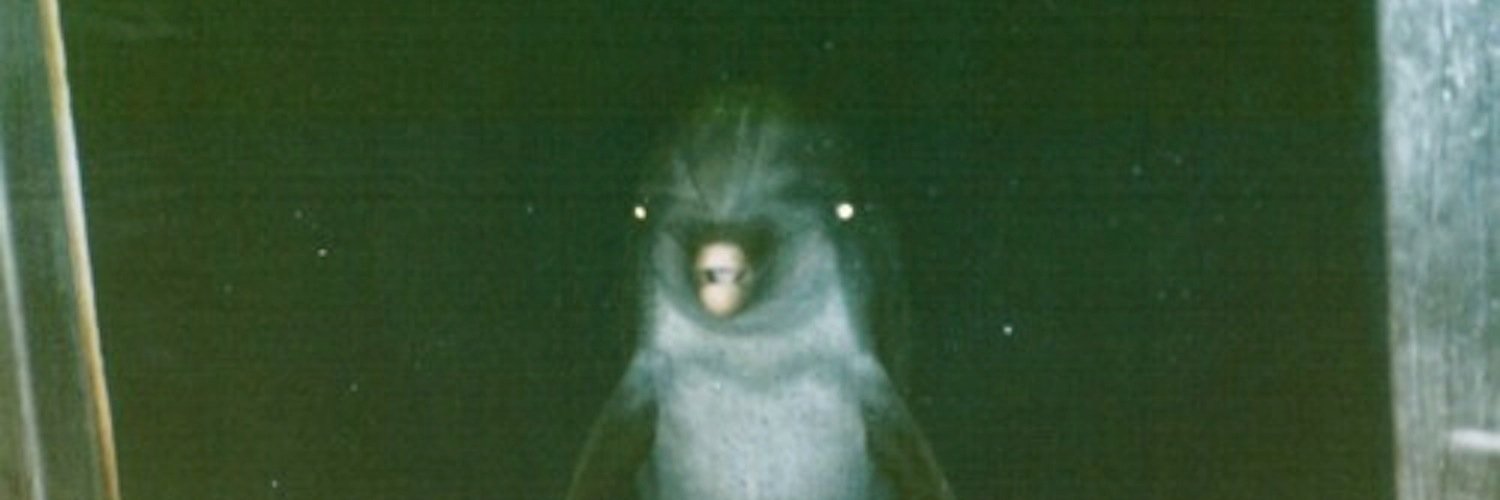 acmealer's profile banner image