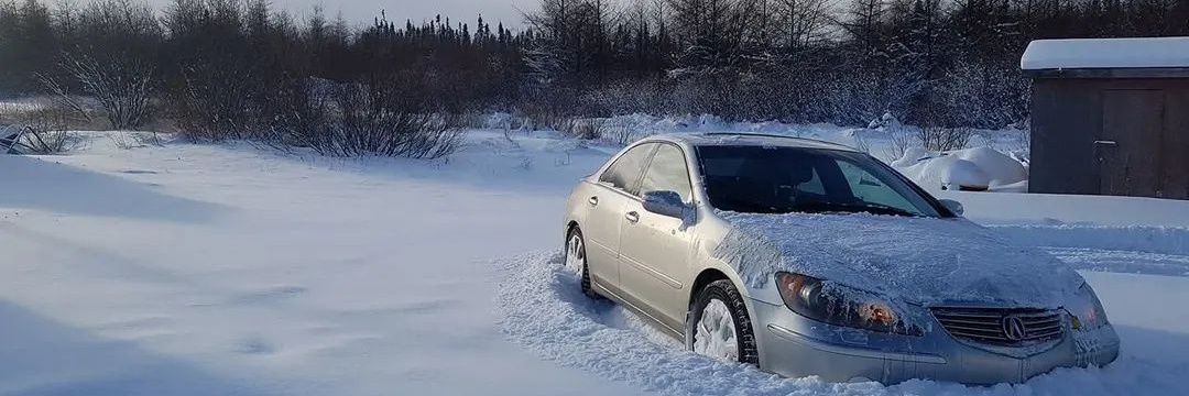 Steve🫵😹💚 banner