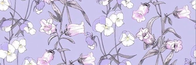 FlorRuggero's profile banner image