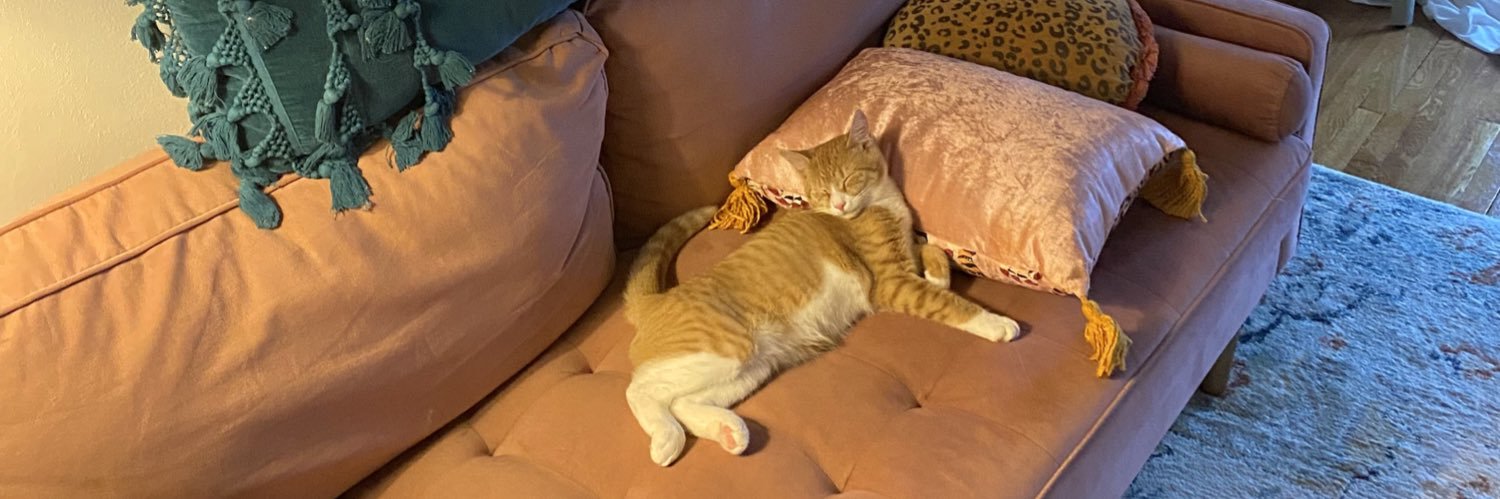 henlo_kitty's profile banner image