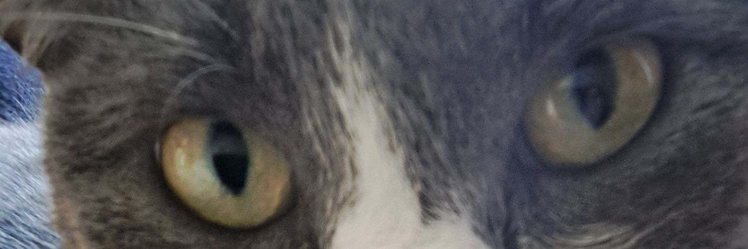 Clairemarie banner