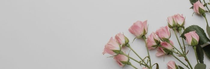 HBooth1998's profile banner image