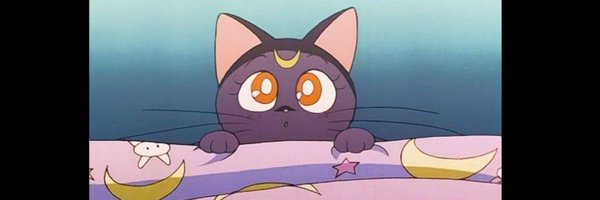 sophiestreet7 Profile Banner