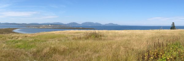 amitabhchandra2 Profile Banner