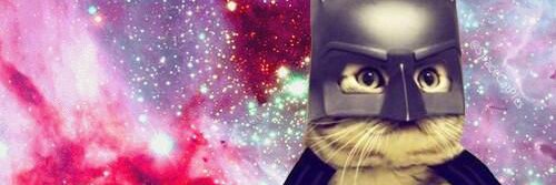 DannieAshley's profile banner image