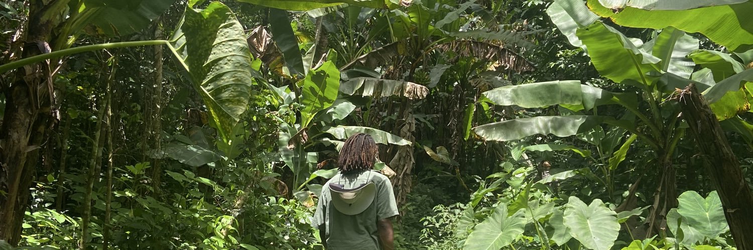 Agroforestry Futures 🌳 banner