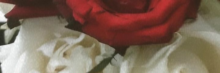 AgnesMeyliaC's profile banner image