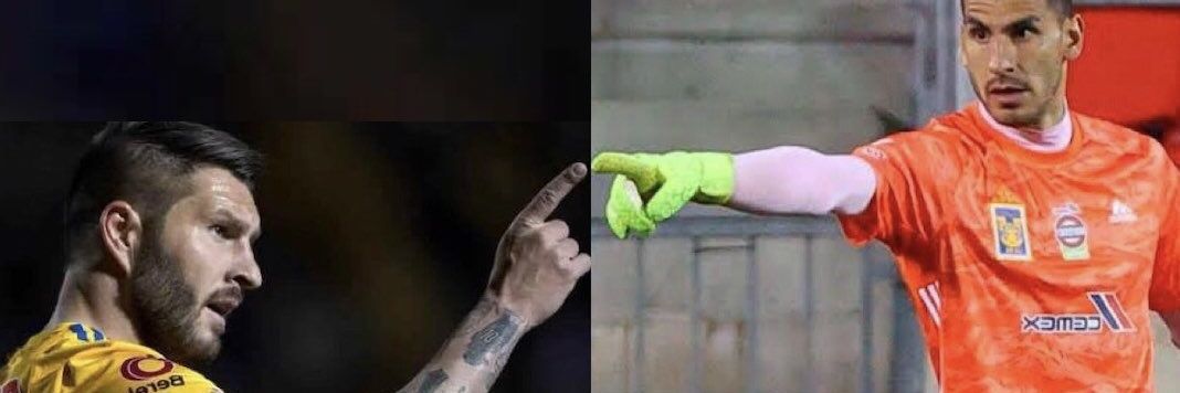 pattocavazoos's profile banner image